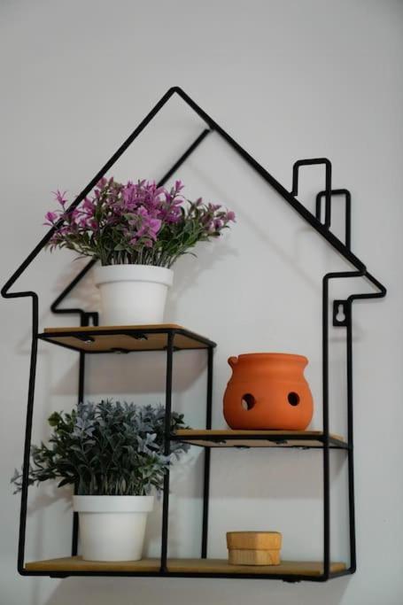 Bonelli Loft Rom